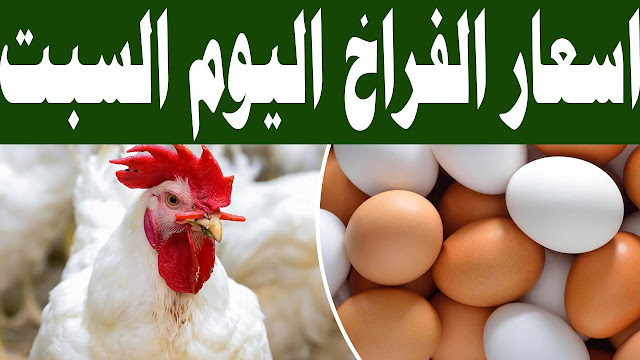 ارتفاع أسعار بورصة الدواجن