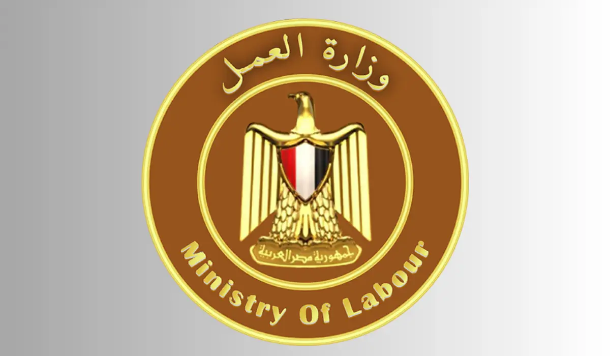 استخراج كعب عمل أون لاين