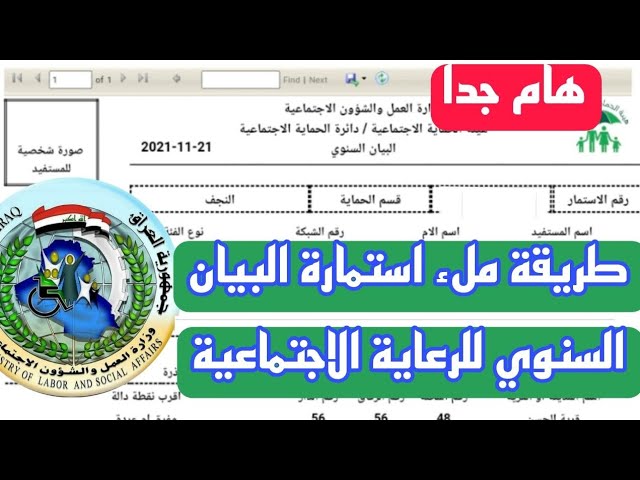 استمارة البيان السنوي بالعراق