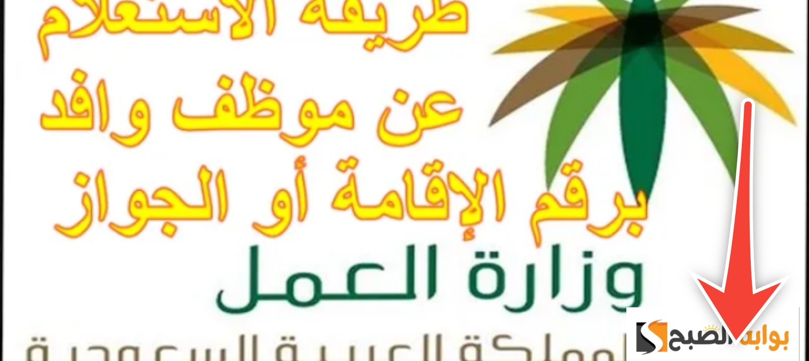 الاستعلام عن تصريح عمل برقم الهوية