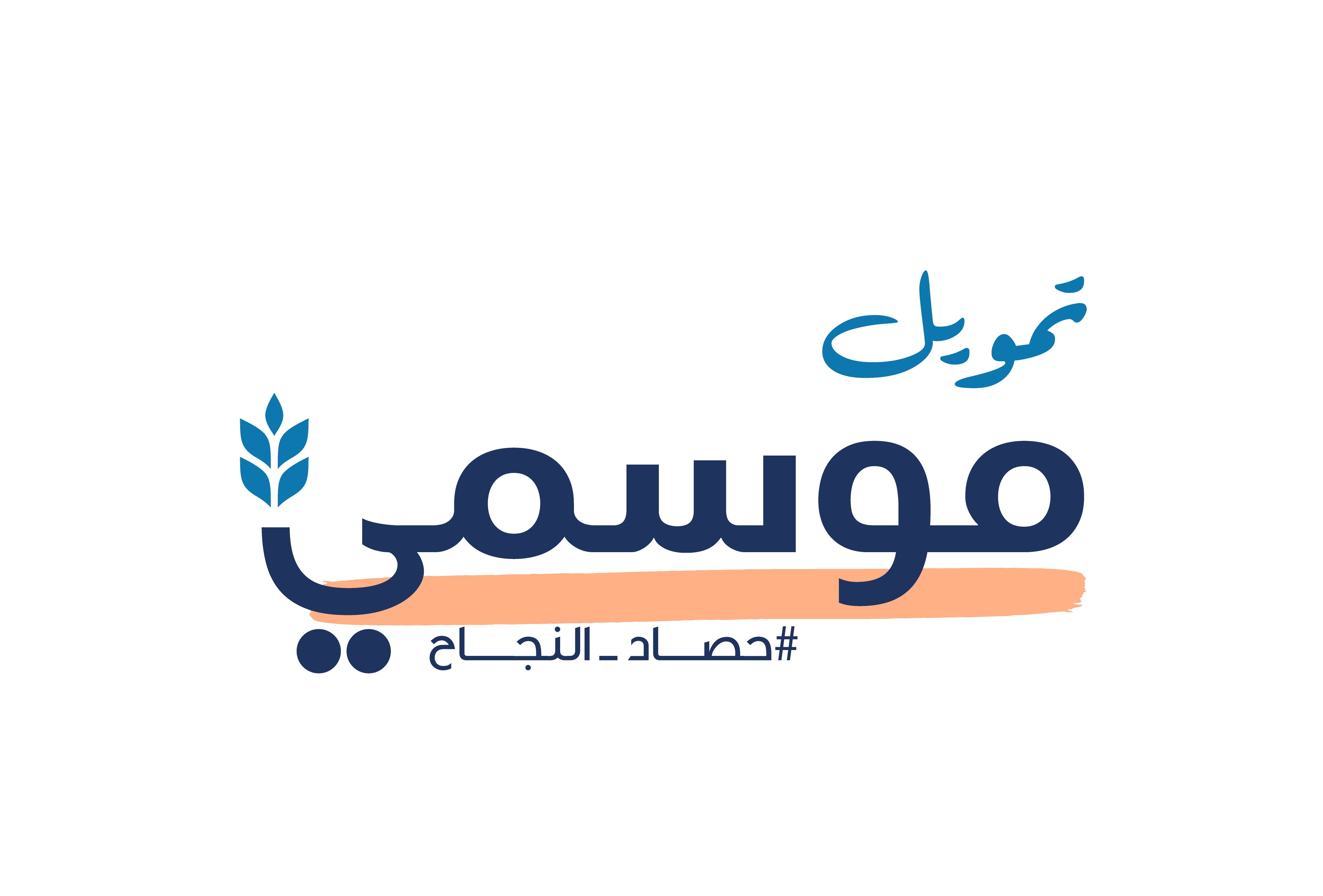 التمويل الموسمي الجديد