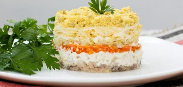 السلطة الروسية بالطبقات