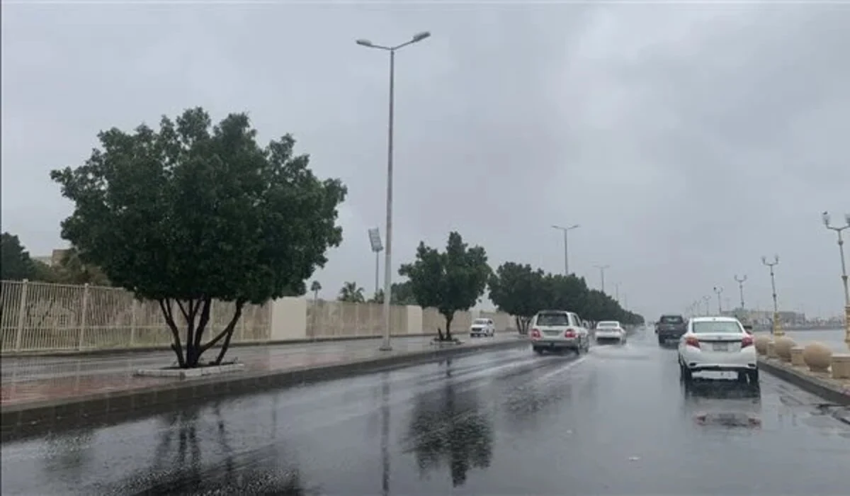 متى يخلص الشتاء في السعودية 1445