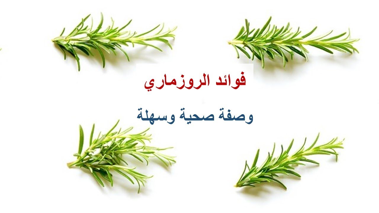 الفوائد الصحية للروزماري
