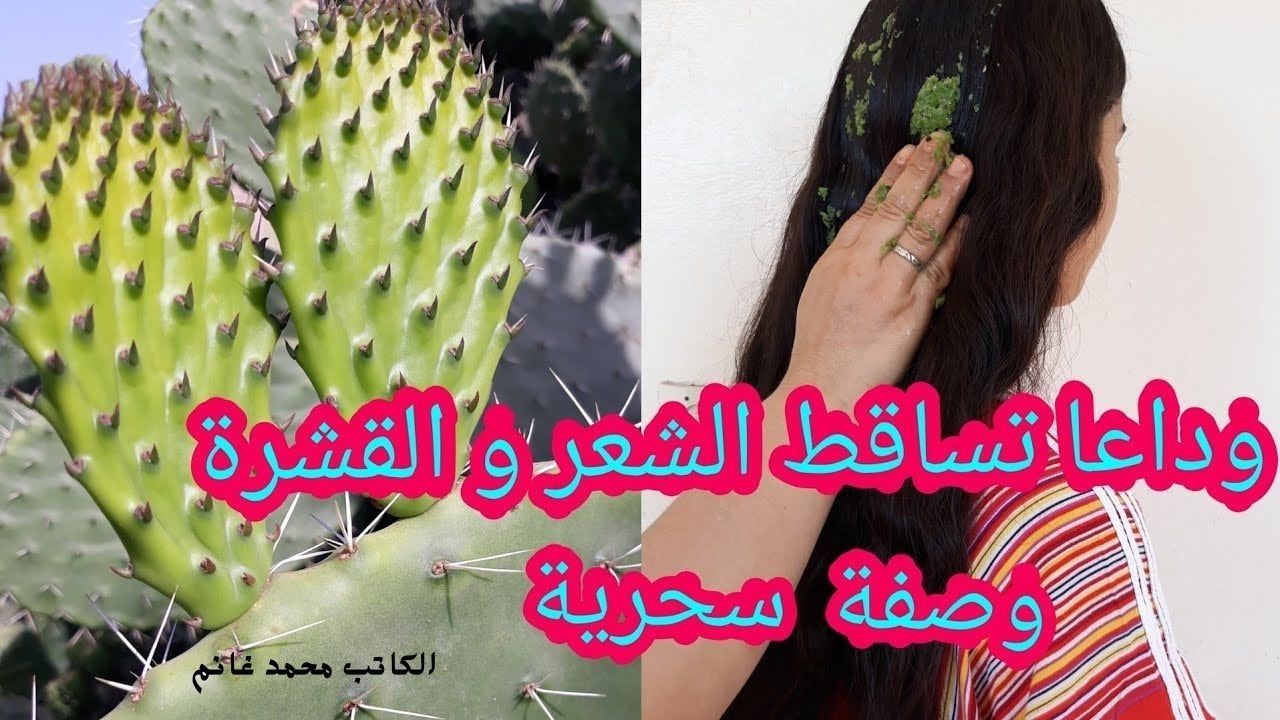 وفري فلوس الدكتور.. وصفة طبيعية من الصبار وزيت الزيتون لعلاج تساقط الشعر والهيشان "شعرك هيرجع أحسن من الأول"