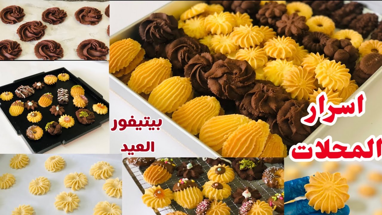 بببببببببببببببب