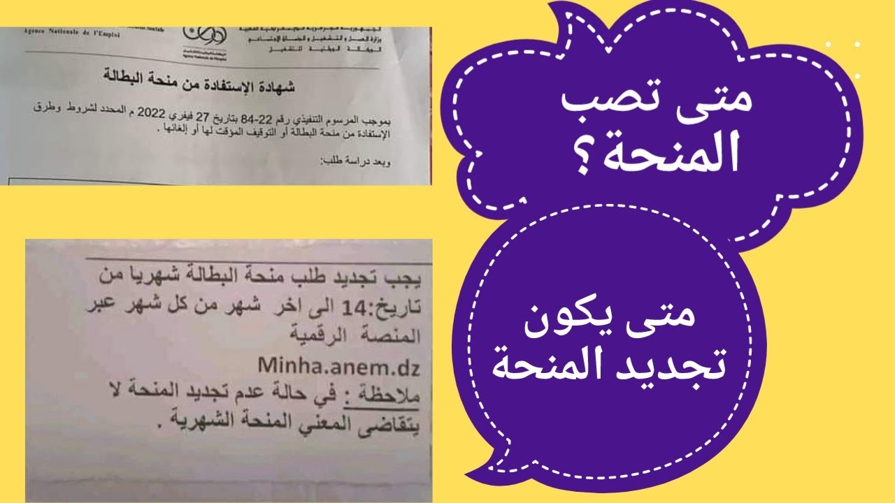 " بعد الزيادة الجديدة " إجراءات تجديد منحة البطالة في الجزائر 2024 خطوات وشروط