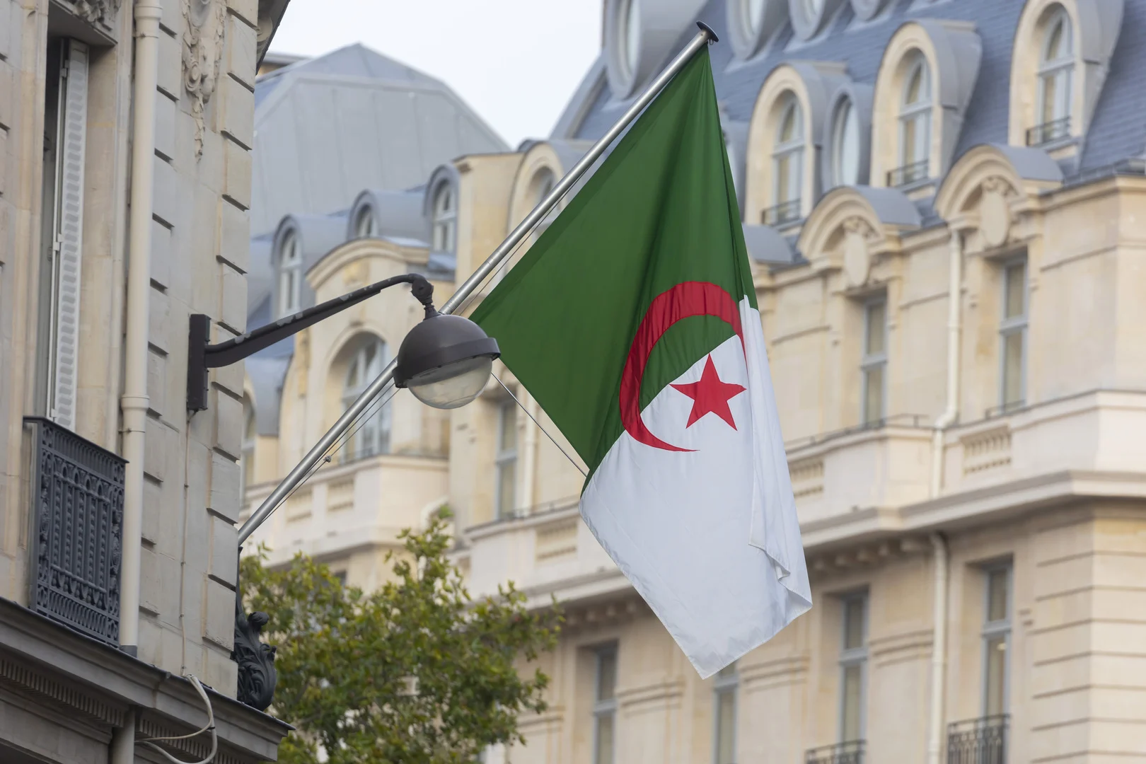 تجديد منحة البطالة في الجزائر 2024