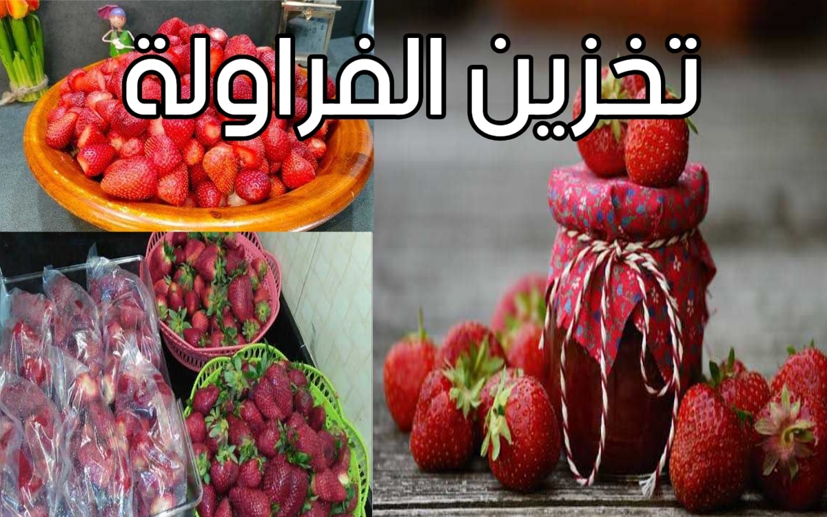 تخزين الفراولة في الفريزر