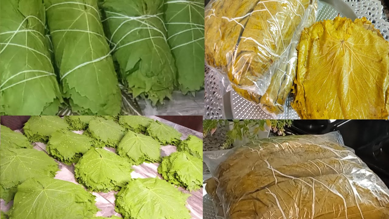 تخزين ورق العنب