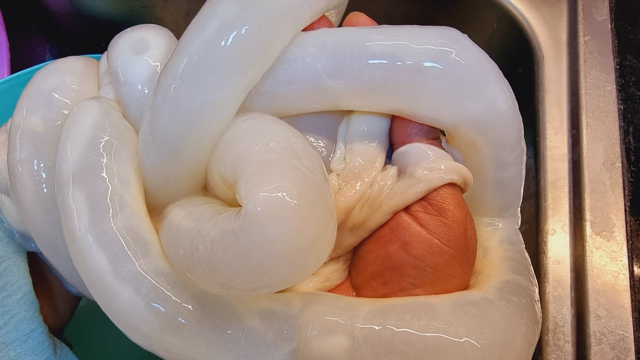 تنظيف الممبار 3
