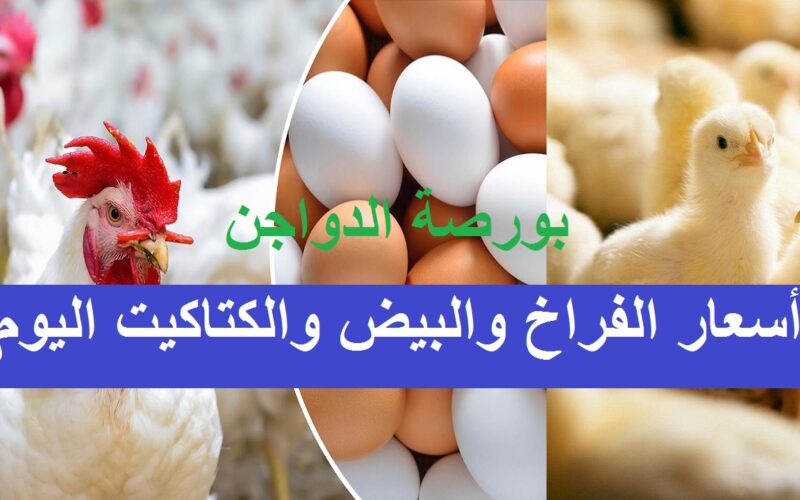 أسعار بورصة الدواجن اليوم