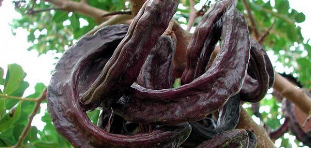طريقة عمل الخروب في أقل وقت ومجهود