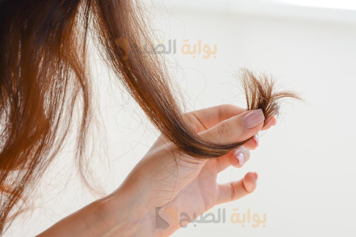خمس منتجات غذائية لتغذية الشعر التألف