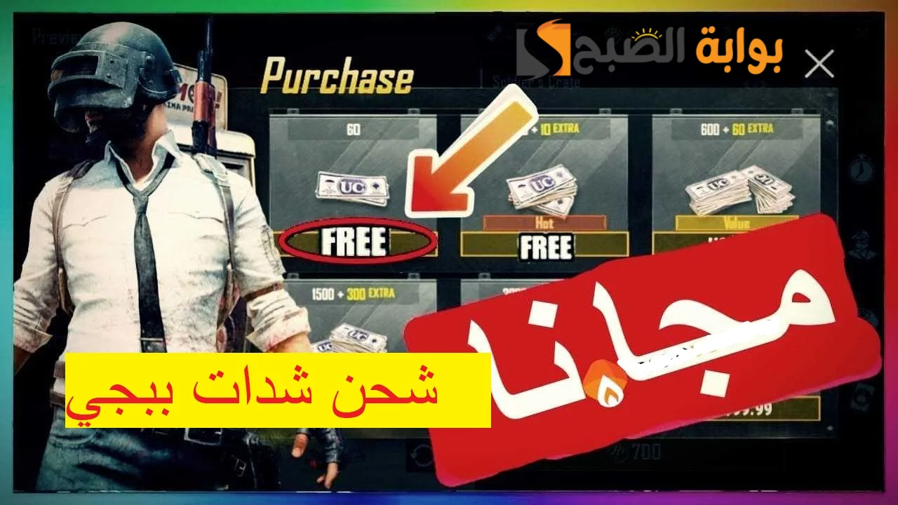 شحن شدات ببجي