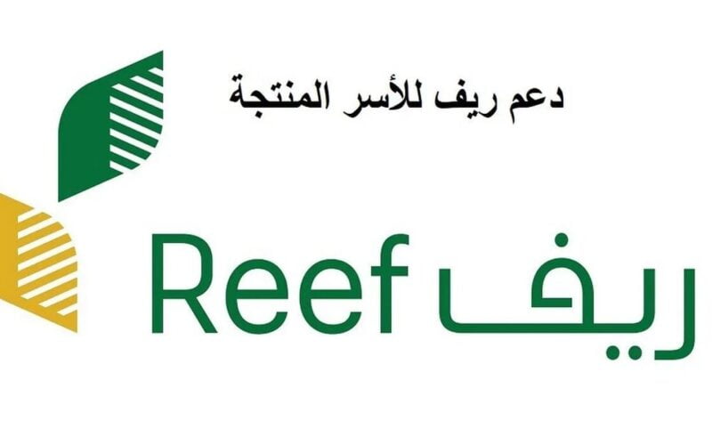 سجل الآن.. رابط وخطوات التقديم على دعم ريف السعودية 1445هـ والشروط اللازمة للحصول عليه
