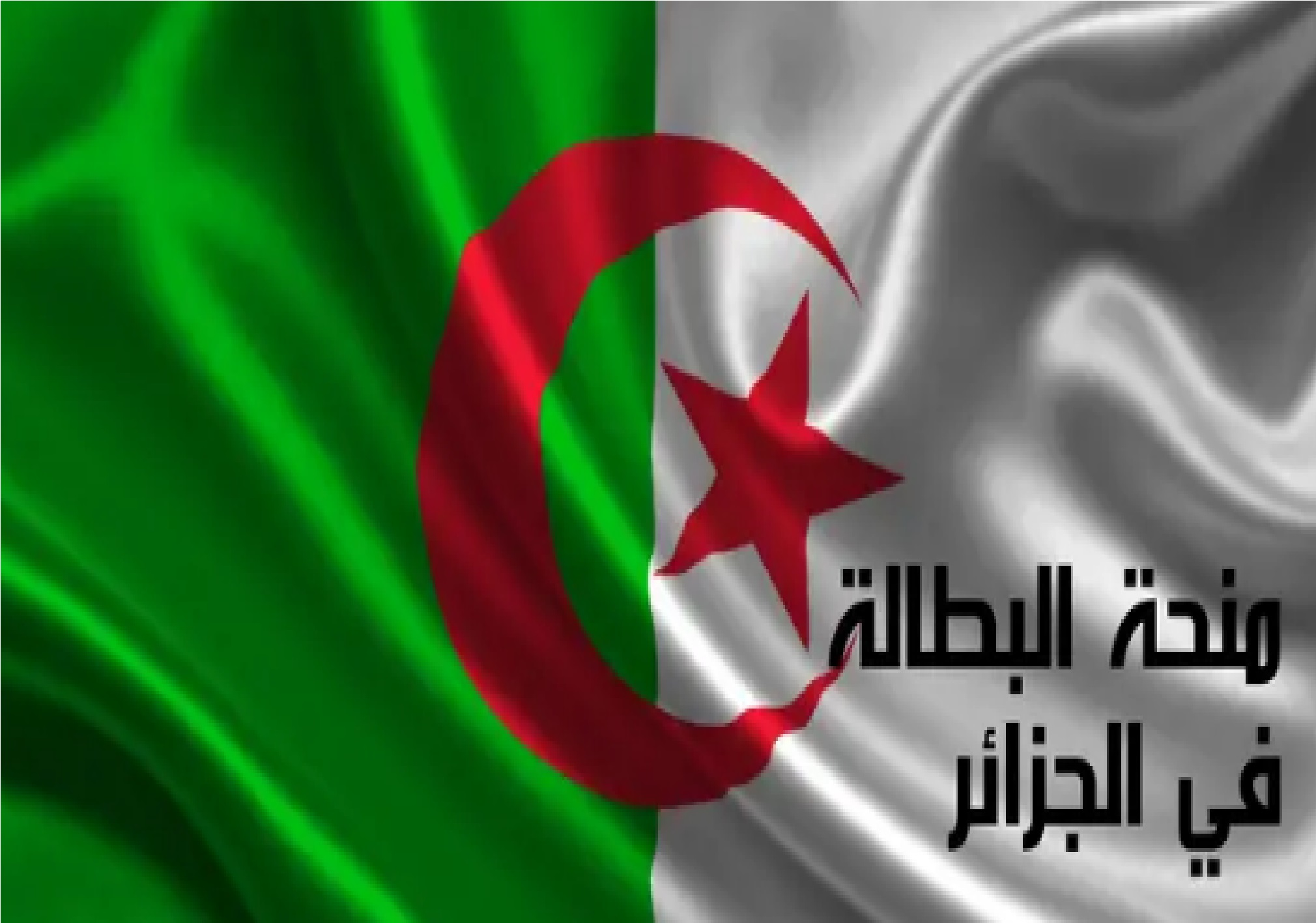 زيادة منحة البطالة 2024