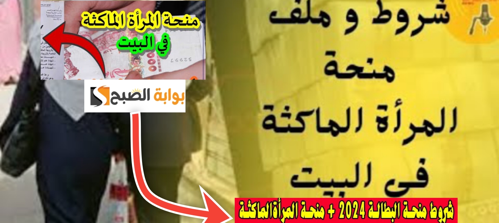 شروط منحة الماكثة في البيت 2024 9