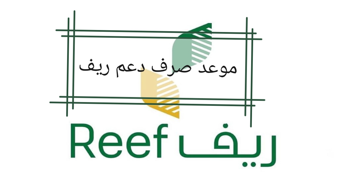 تعرف على موعد صرف دعم ريف لشهر فبراير 2024 وشروطه ورابط الاستعلام عنه