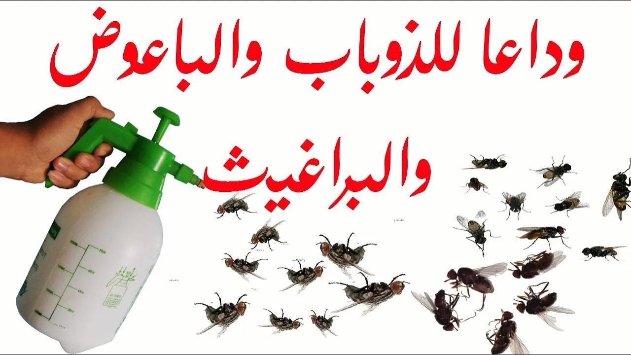 أفضل الطرق للتخلص من النمل والصراصير