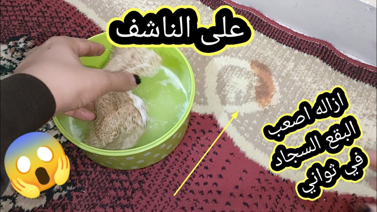 أفضل طرق لتنظيف السجاد في البيت