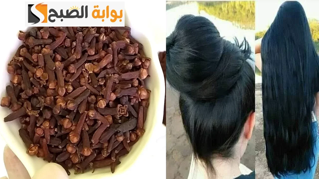 طريقة استعمال القرنفل مع الشامبو للشعر