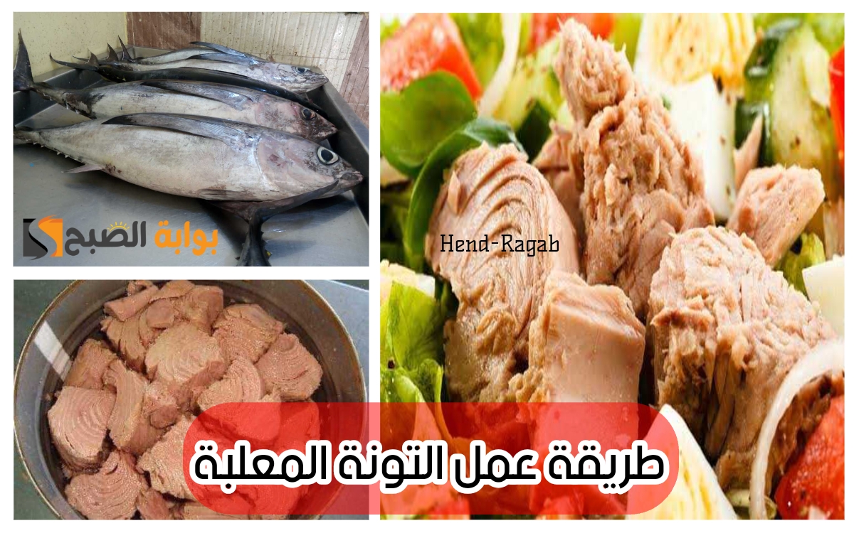 طريقة عمل التونة المعلبة في البيت