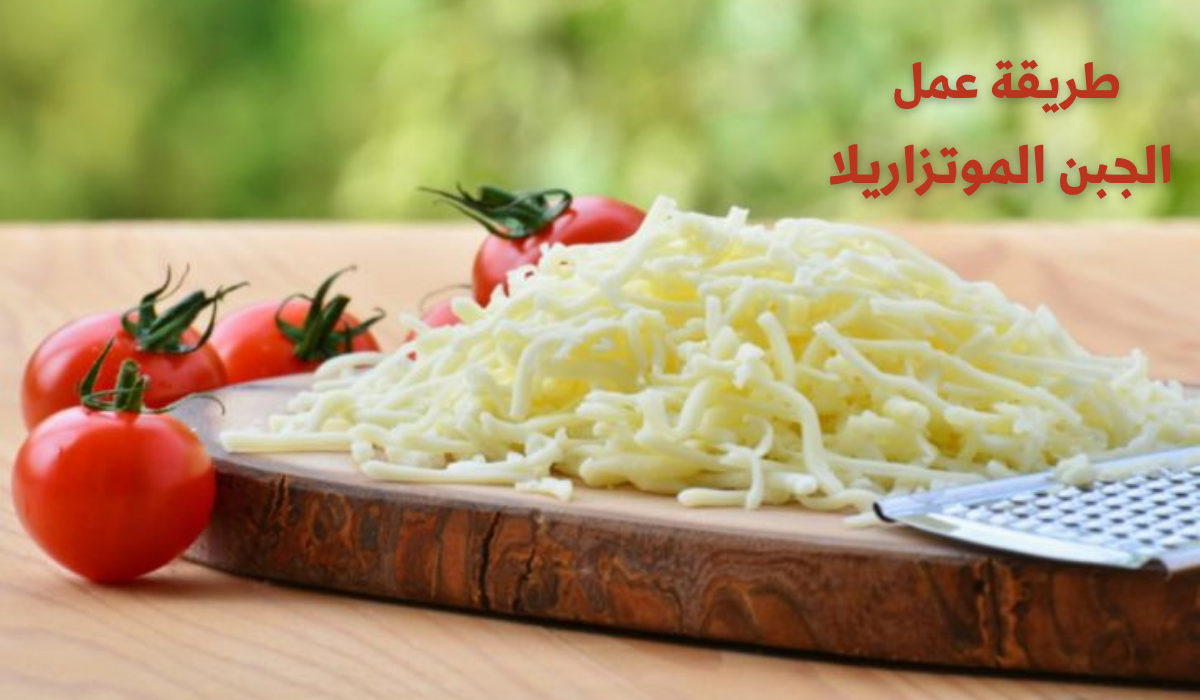 طريقة عمل الجبن الموتزريلا