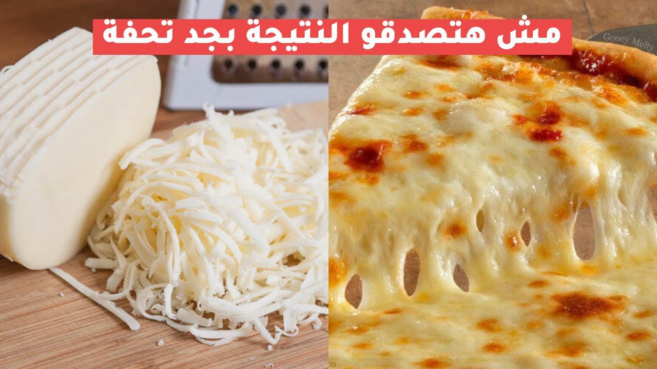 طريقة عمل الجبنة الموتزاريلا
