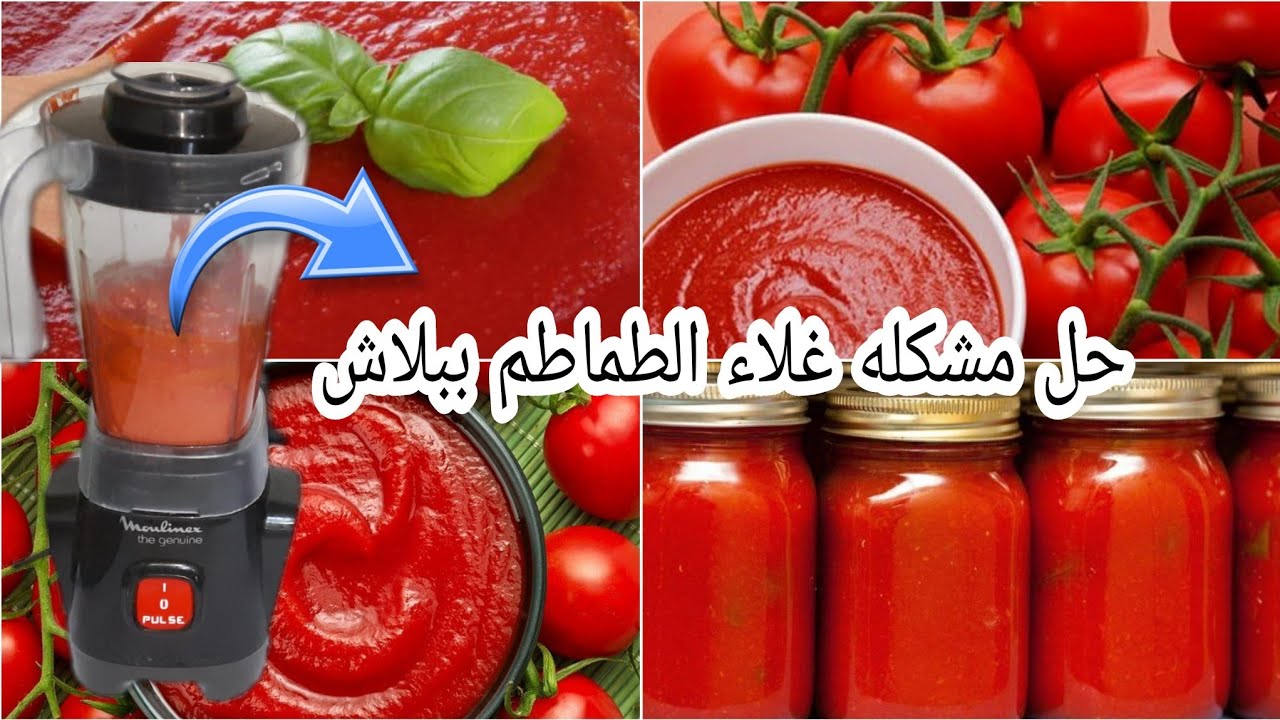 خطوات عمل صلصة الطماطم