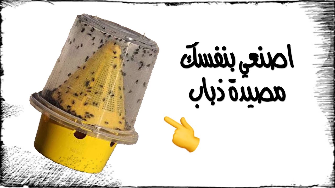 عمل مصيدة للذباب والناموس في البيت