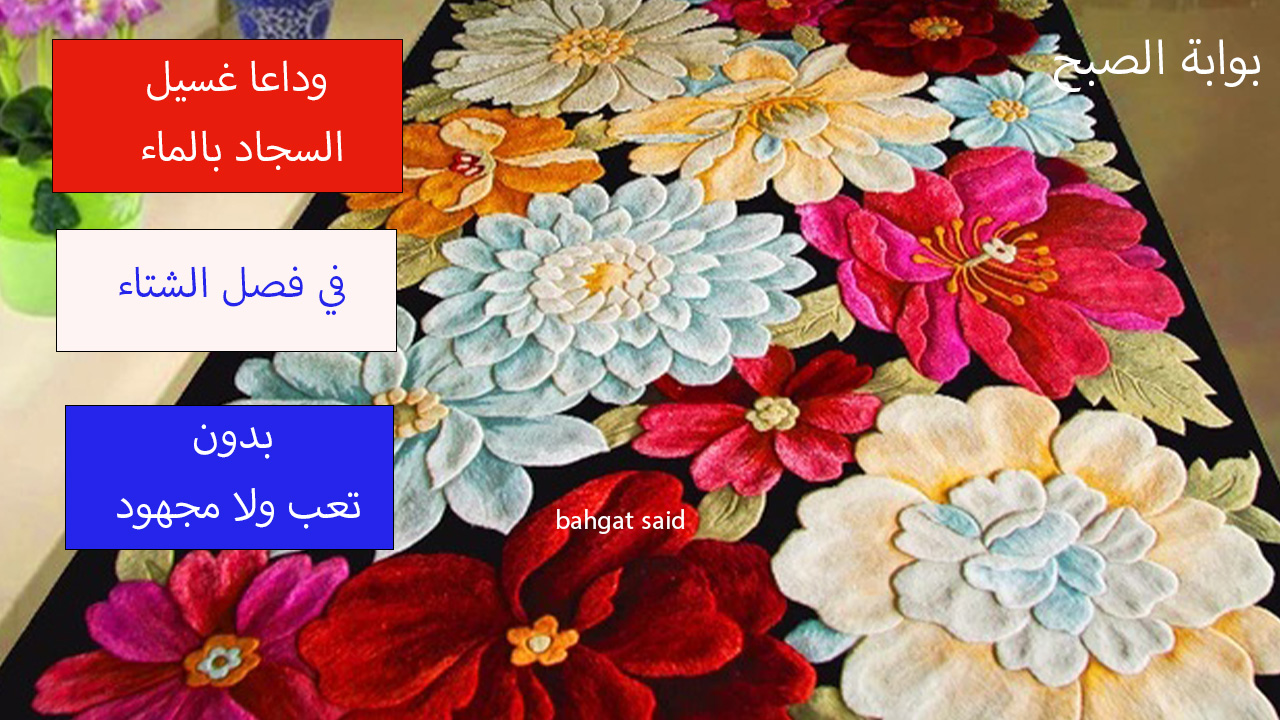 غسيل السجاد بدون ماء