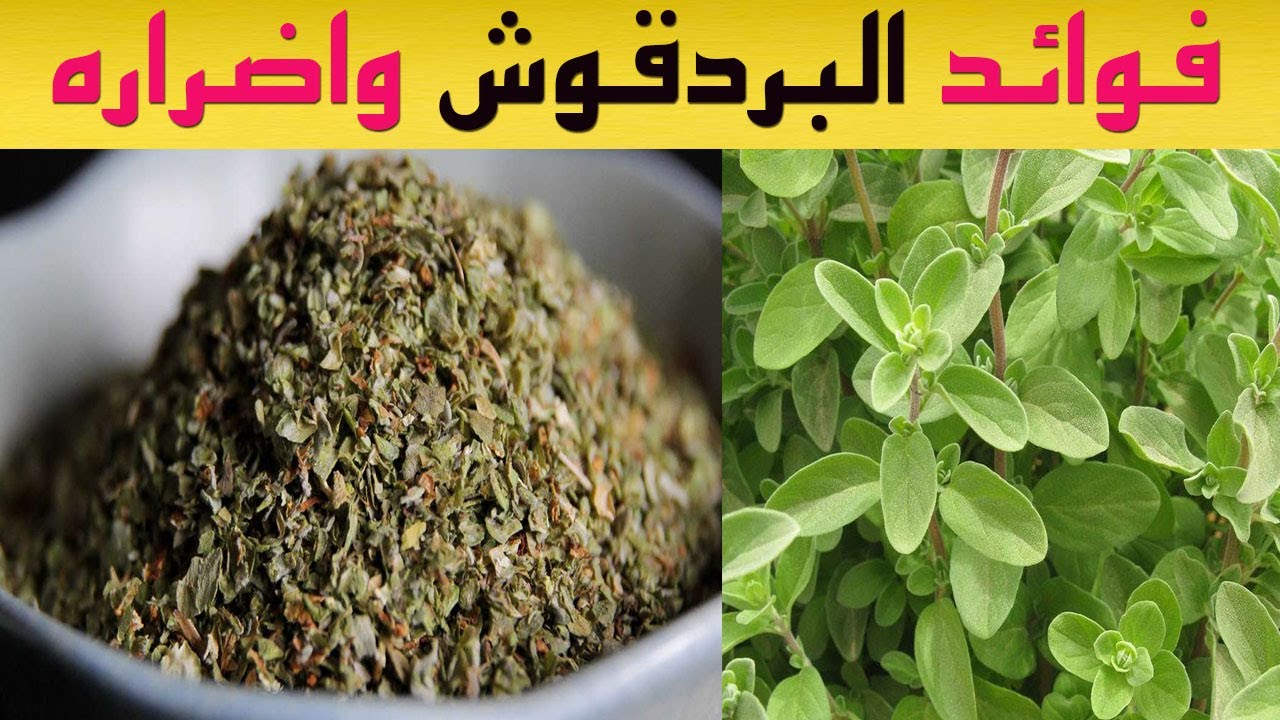 فوائد أعشاب البردقوش