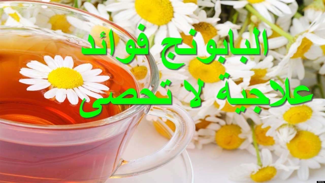 ما هي فوائد البابونج الصحية