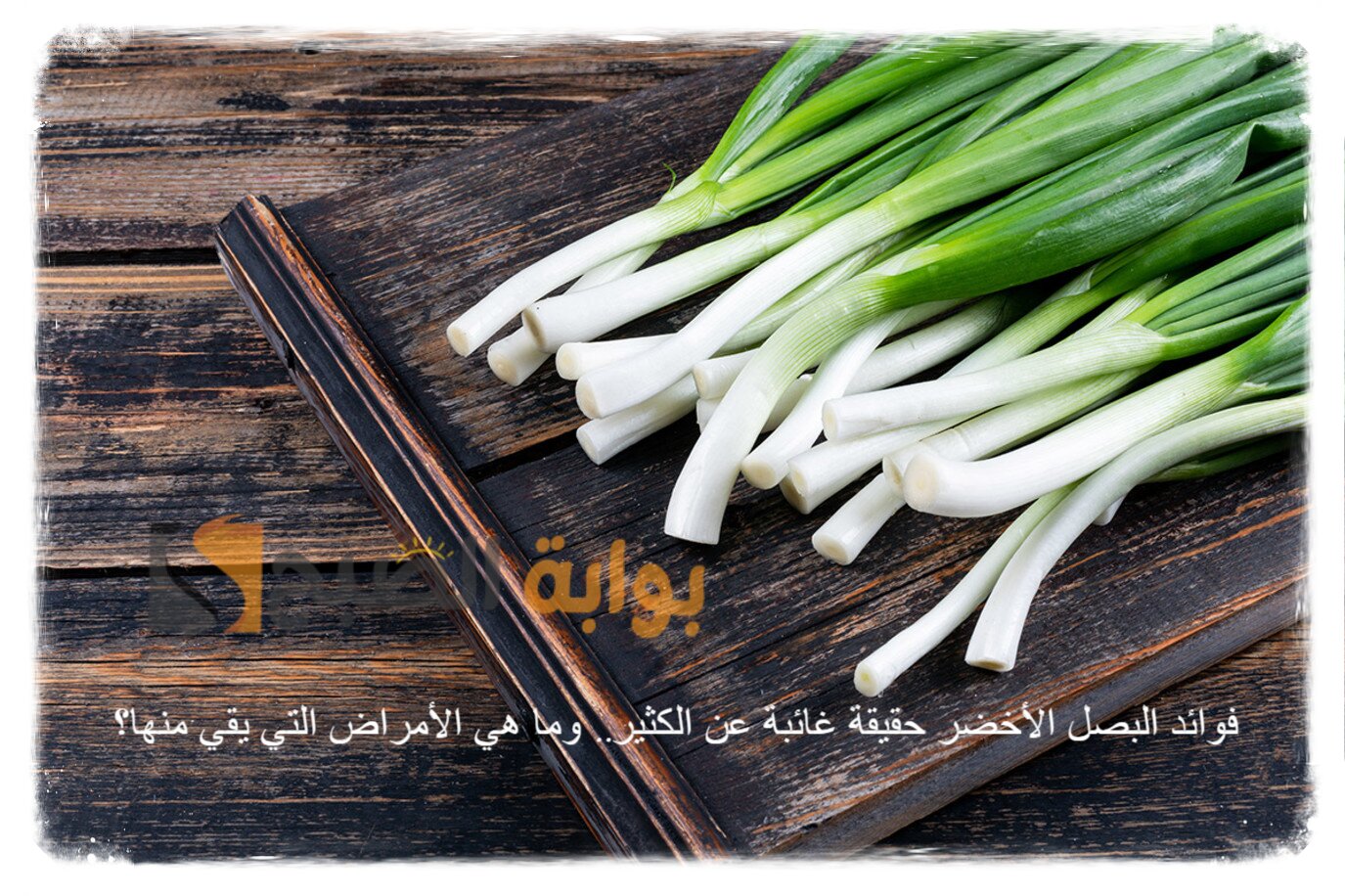 فوائد البصل الأخضر حقيقة غائبة عن الكثير وما هي الأمراض