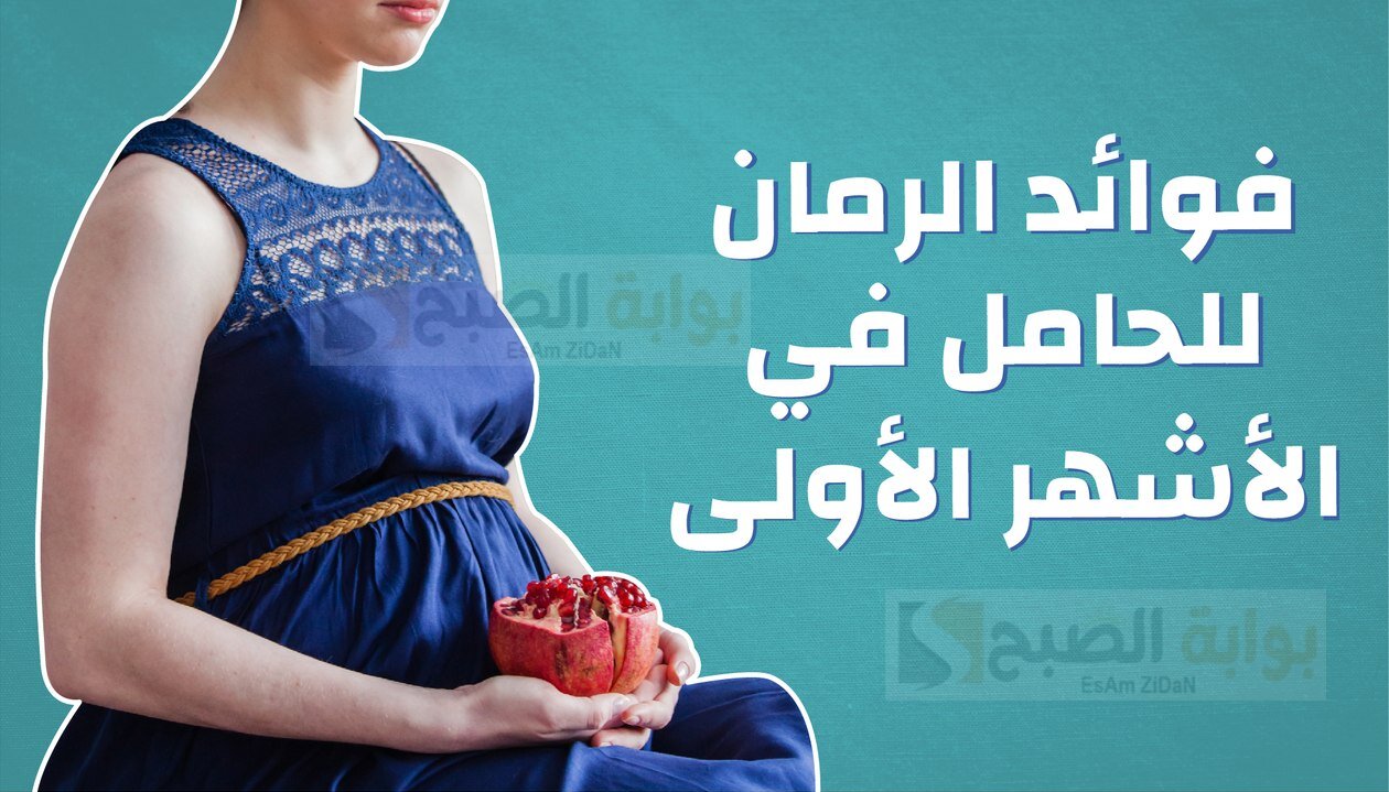 فوائد الرمان للحامل وما هـي العناصر الغذائية الهامة التي يحتويها