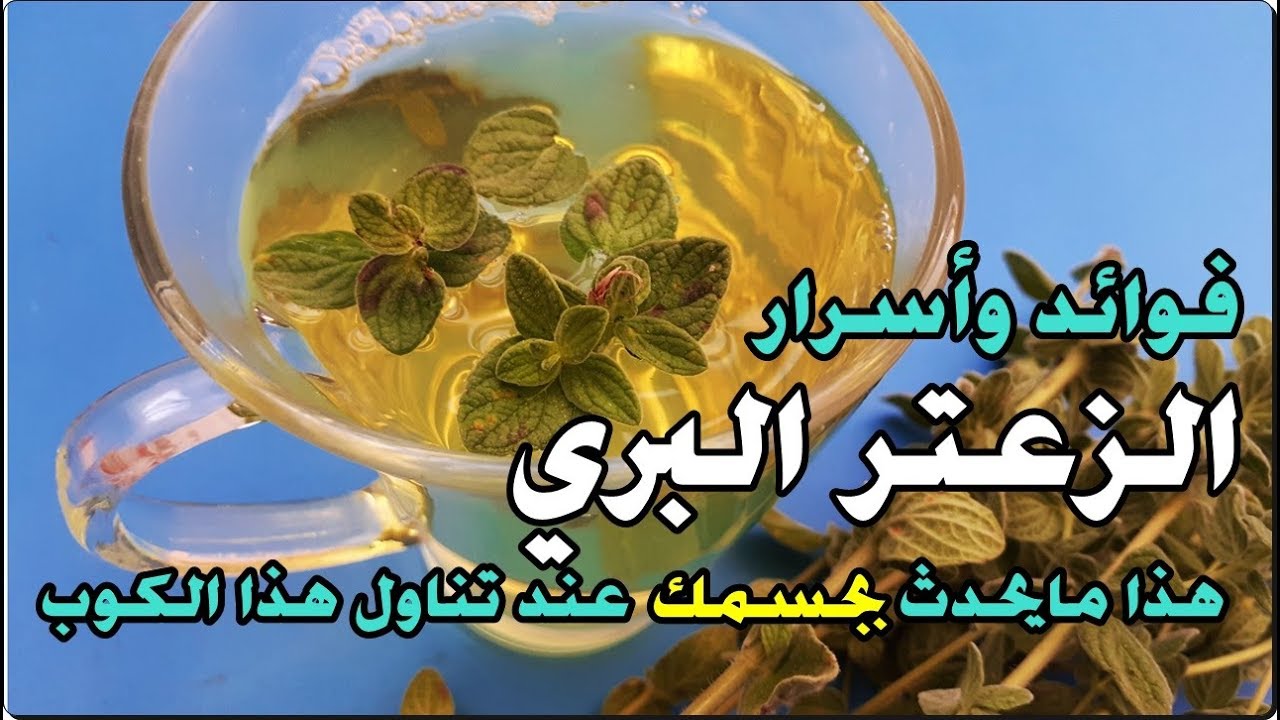 فوائد الزعتر البري