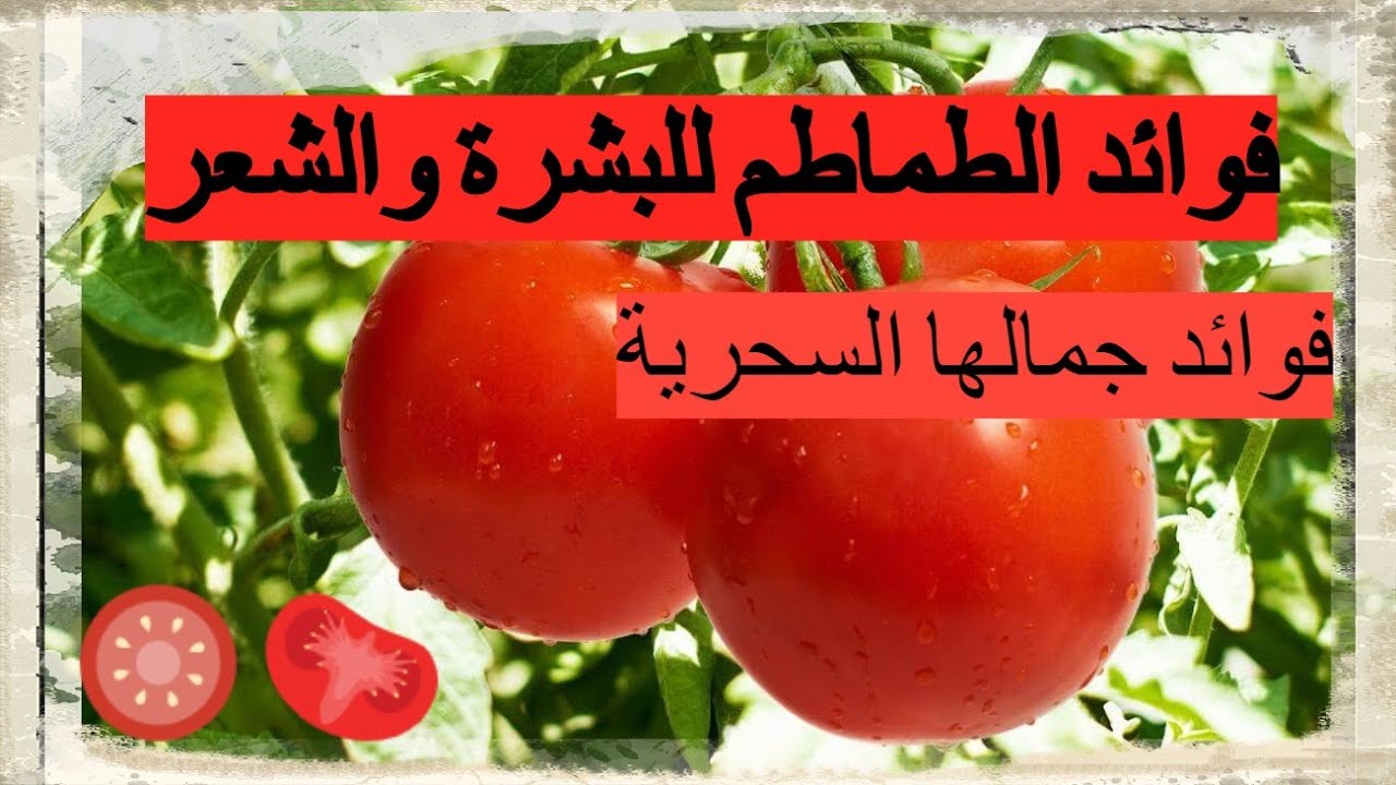 فوائد الطماطم للبشرة والجسم والشعر
