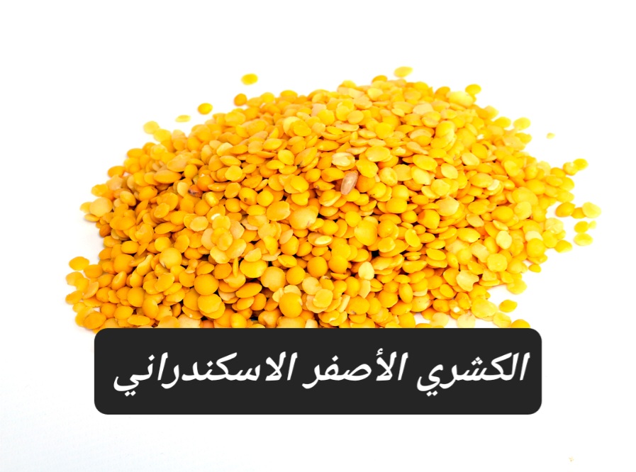 فوائد العدس الأصفر