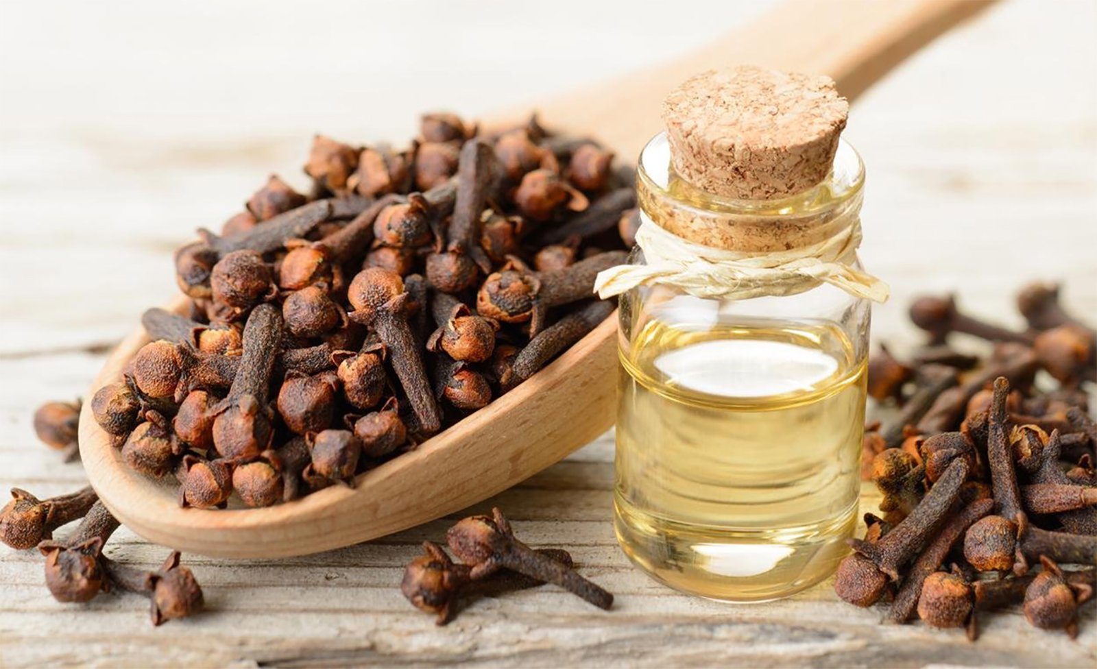 فوائد زيت القرنفل