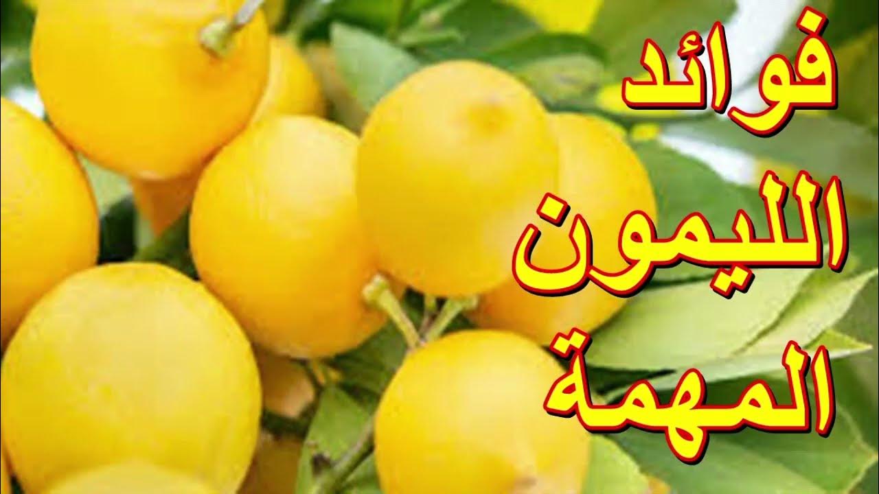 فوائد الليمون لجسم الانسان