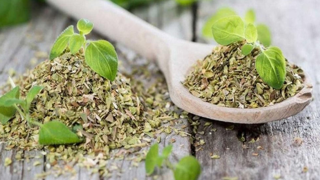 فوائد وأضرار البردقوش