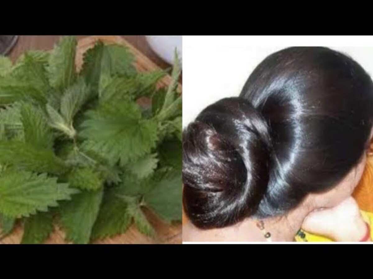 قناع زيت جوز الهند وعشبة القراص
