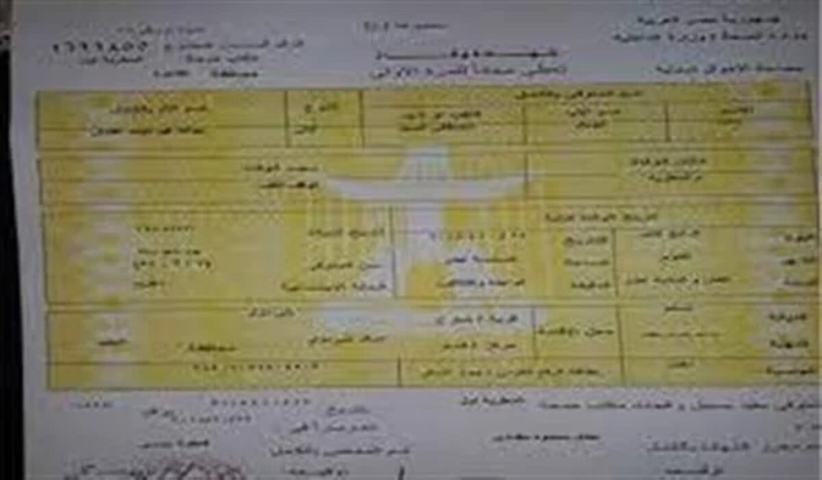 كيفية استخراج شهادة وفاة الكترونية