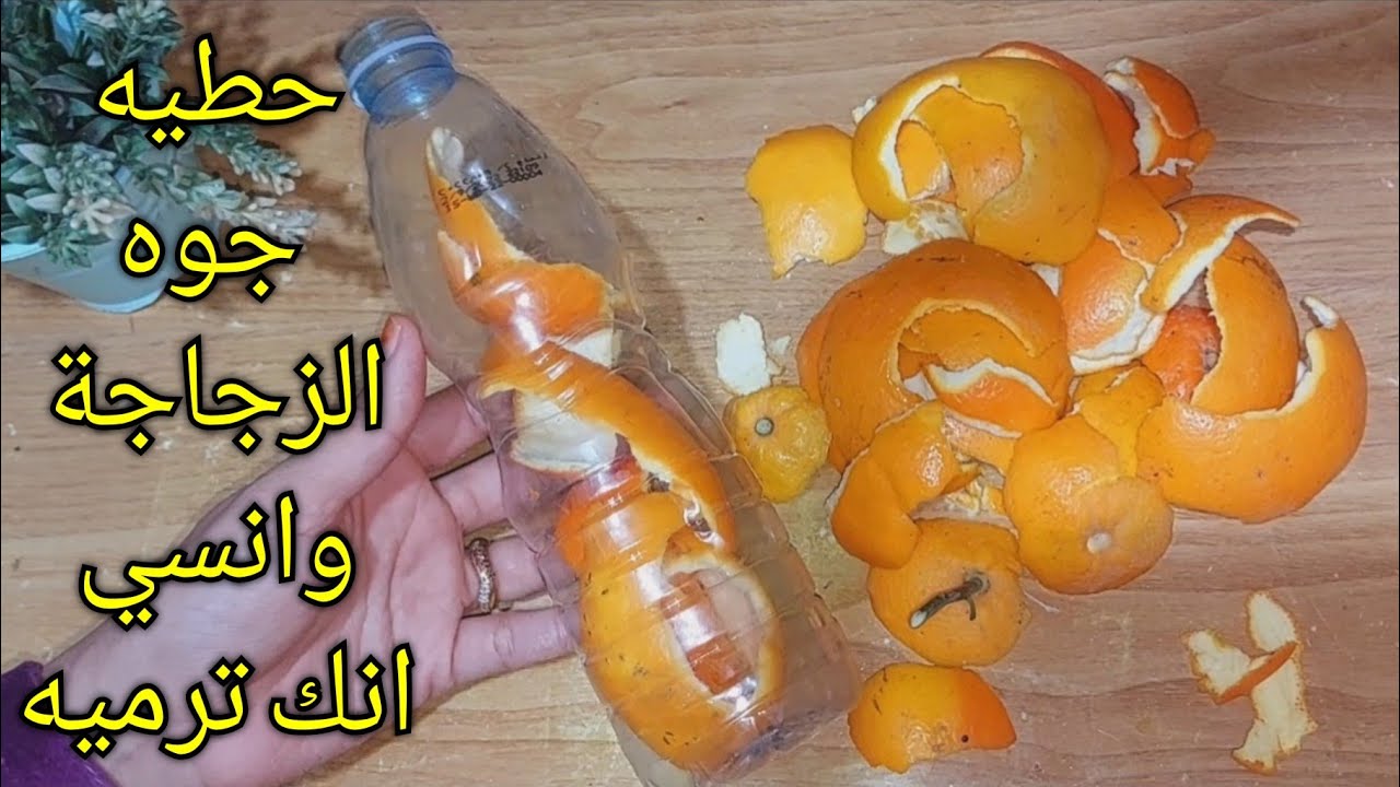 مترميش قشر البرتقال بعد ما تقشريه وحوشيه في ازايز هينفعك في البيت