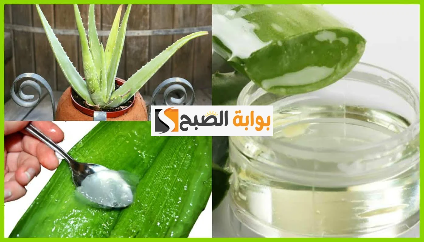 ماسك جل الصبار والعسل لشد البشرة