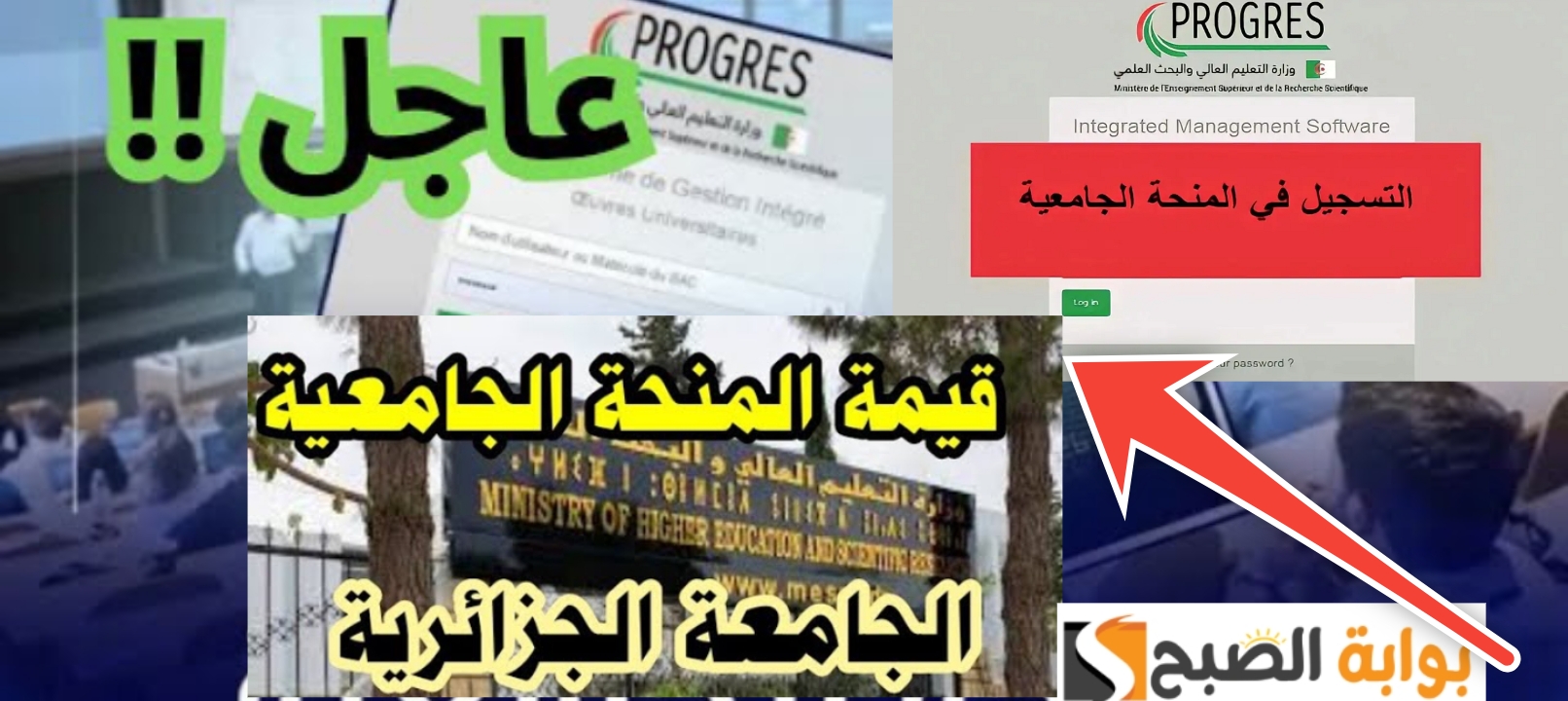 منحة الطالب الجامعي