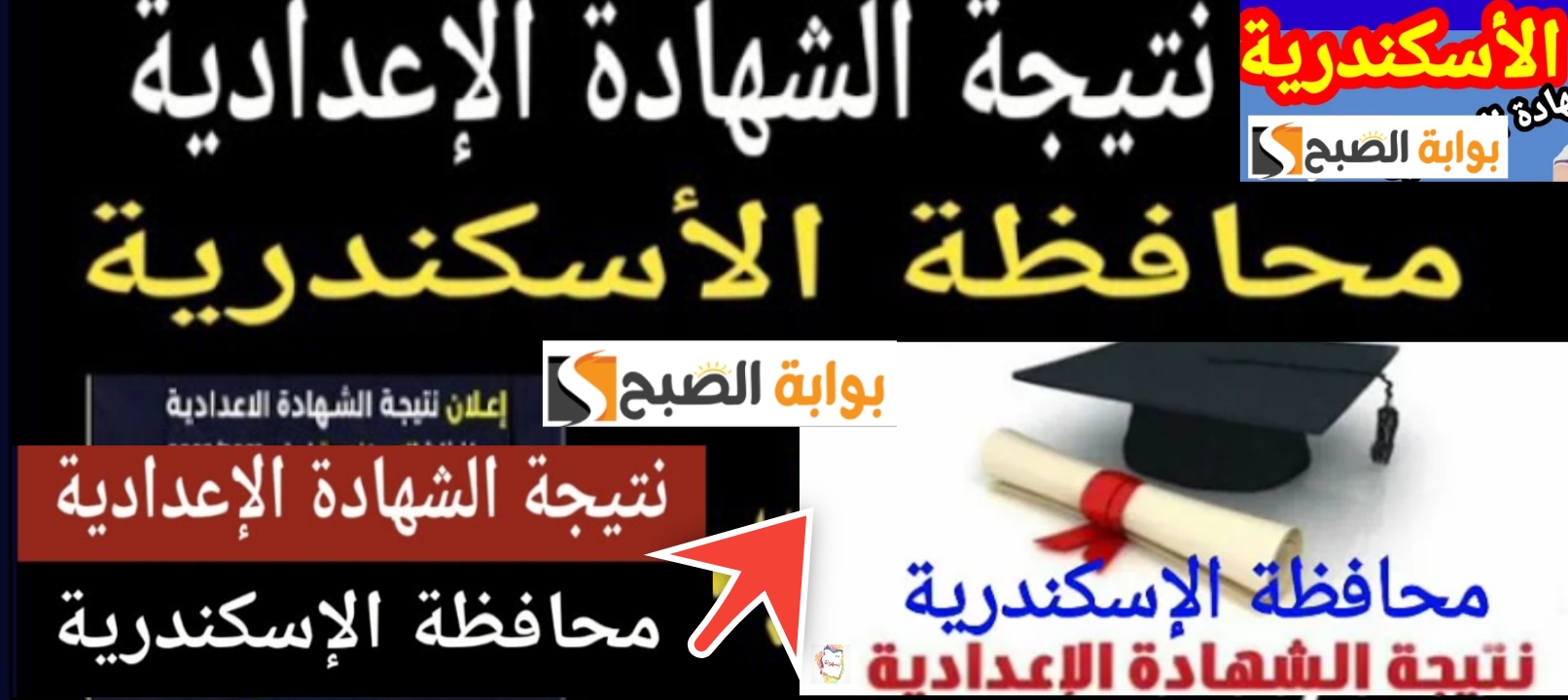 نتيجة الشهادة الاعدادية 2024