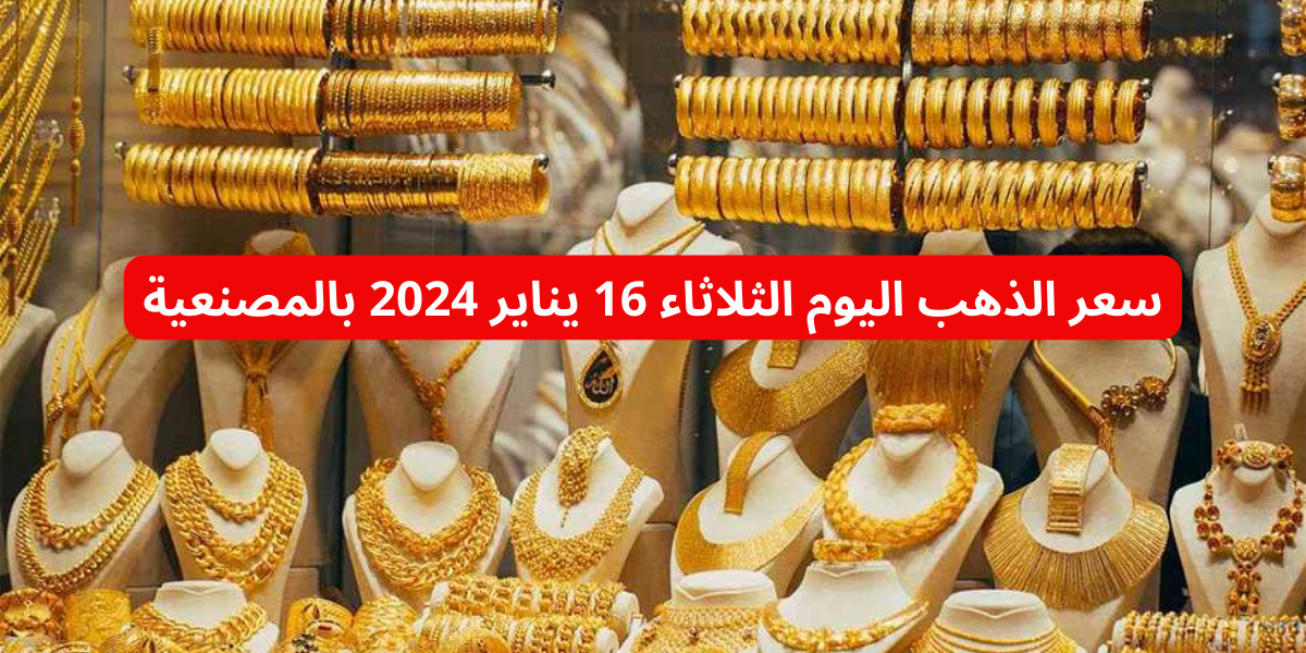 نص فقرتك 2024 01 16T105055.468