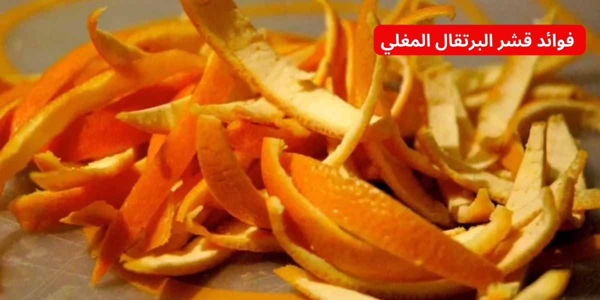 نص فقرتك 2024 01 17T173612.602